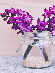 求个安全渠道的手机号轰炸