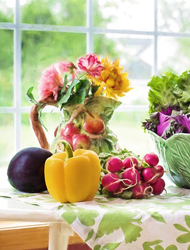 手机号接收平台